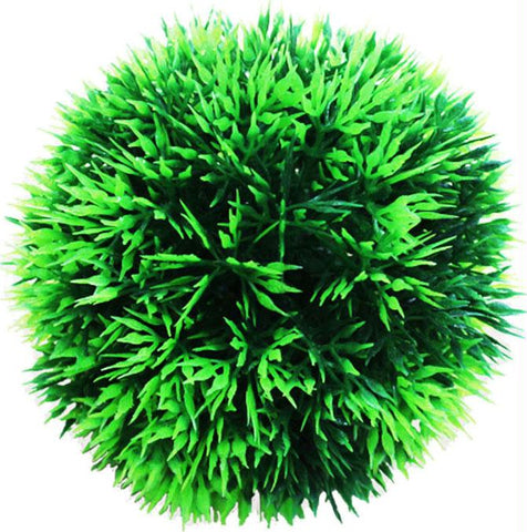 Moss Ball