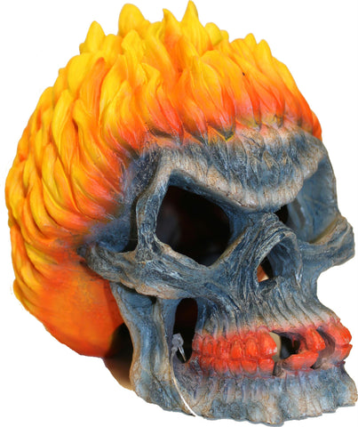 Flaming Skull