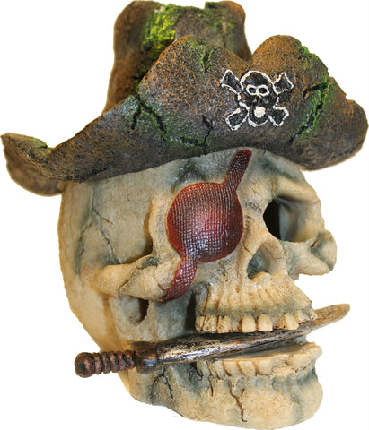 Pirate Skull