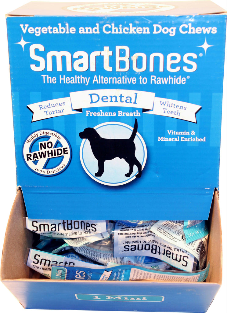 Mini Dental Smartbones Display