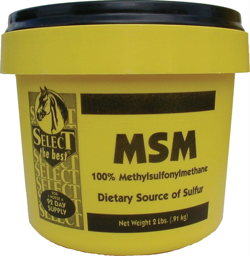 Msm Powder Joint Support For Horses