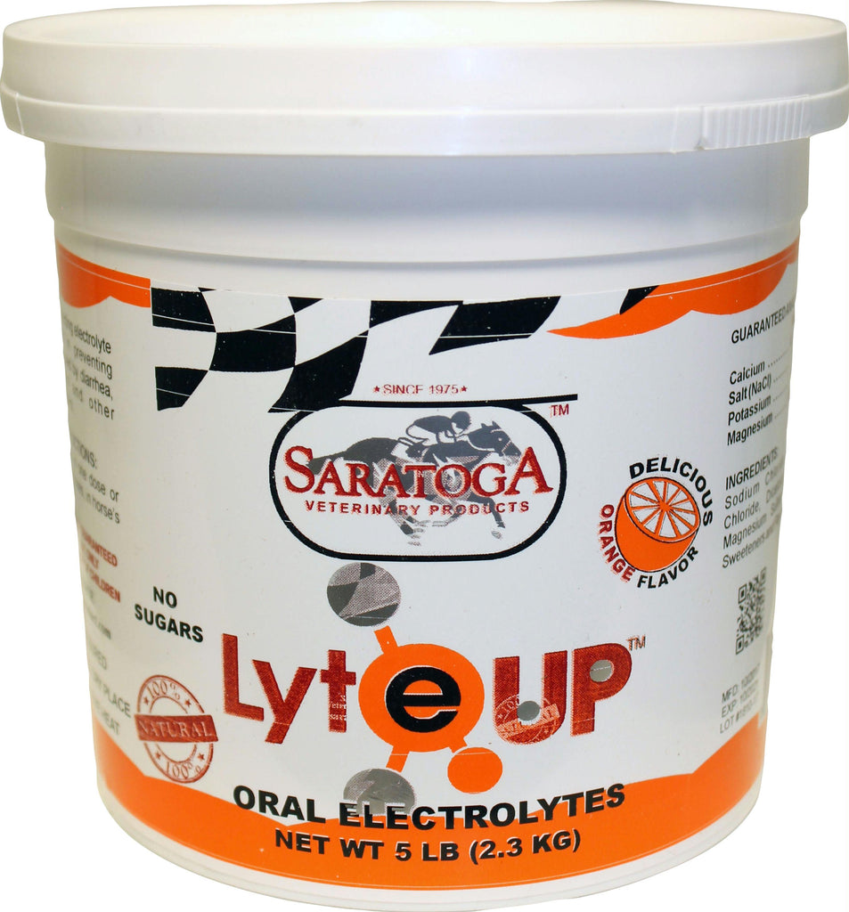 Lyte Up Orange