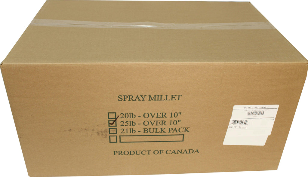 Millet Spray