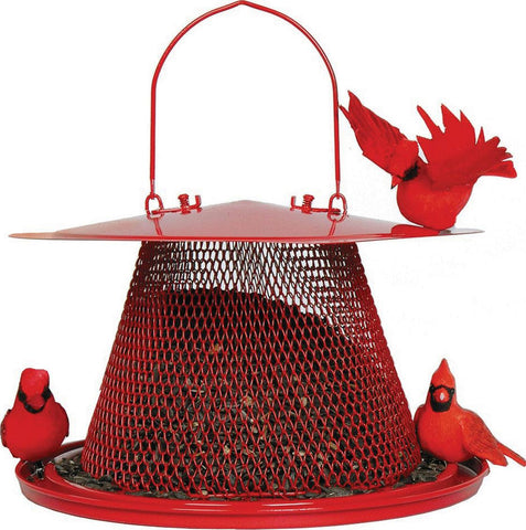 No-no Cardinal Feeder