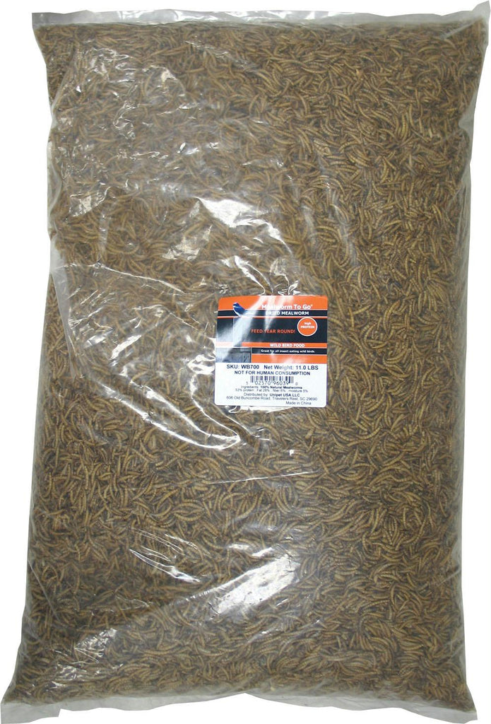Mealworm To Go Dried Mealworm Wild Bird Food