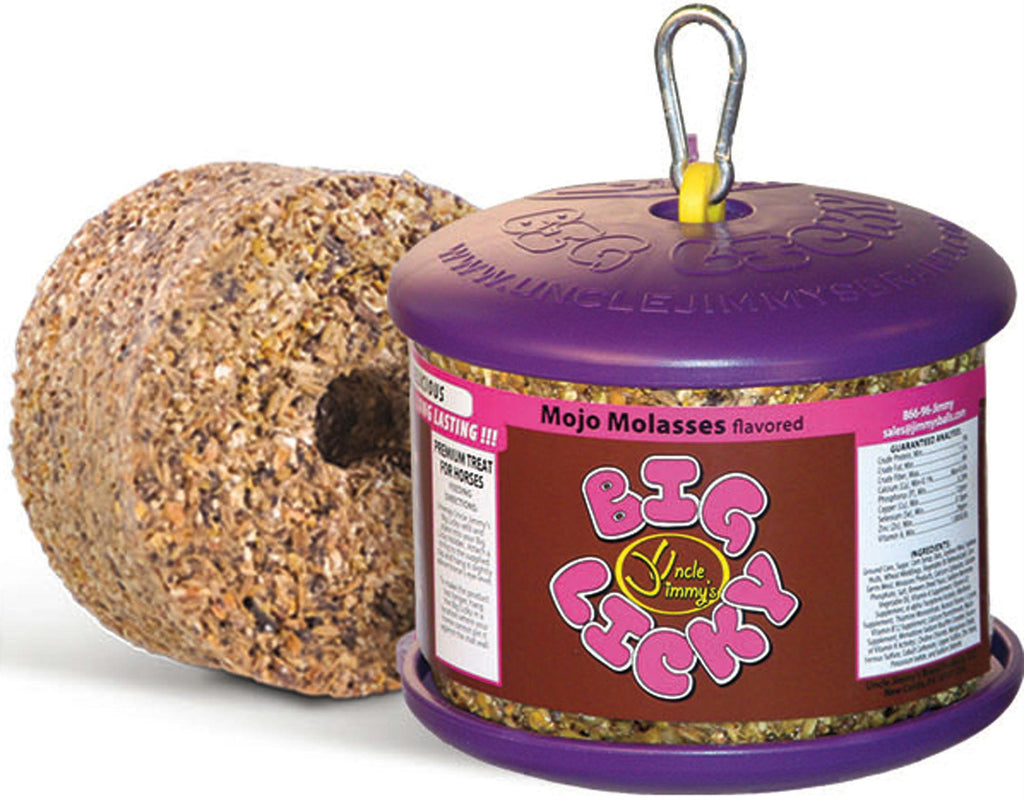 Big Licky Treats For Horses With Holder