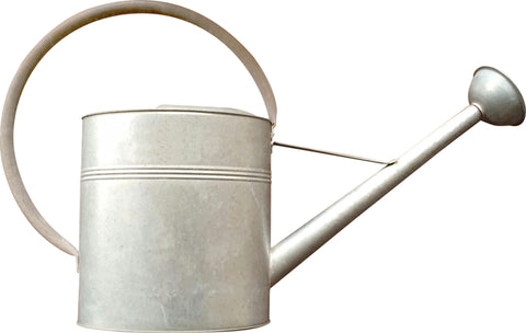 Vintage Galvanized Watering Can