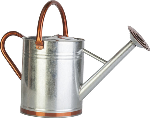 Galvenized Watering Can