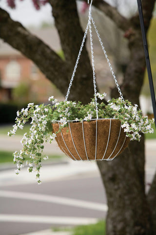 Hanging Basket Growers