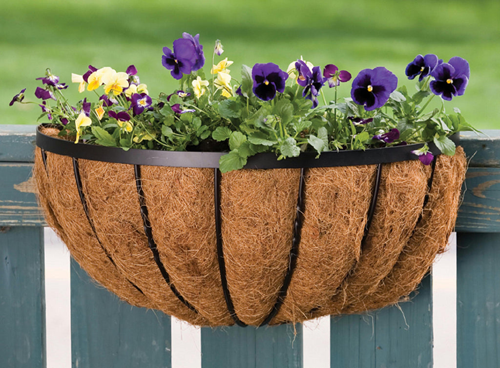 Wall Planter