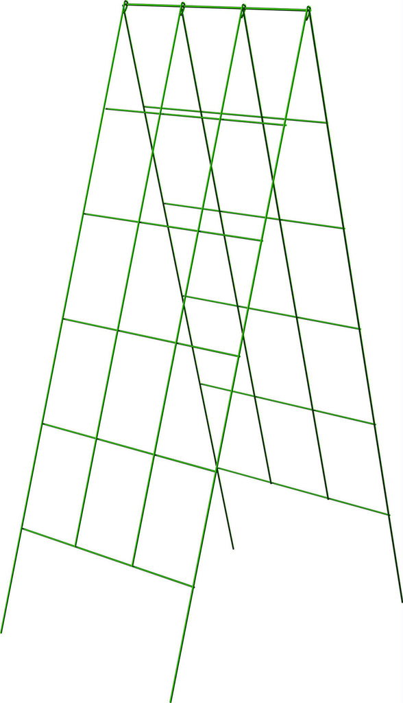 A Frame Trellis