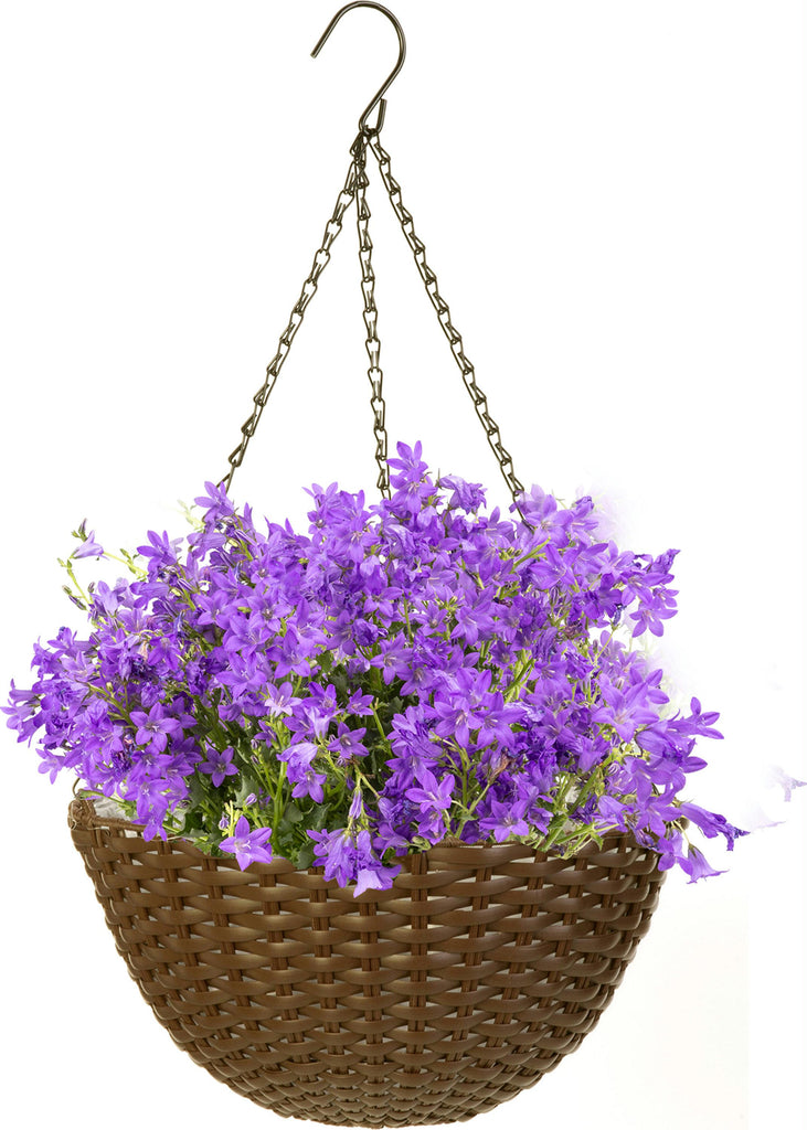 Resin Woven Hanging Basket