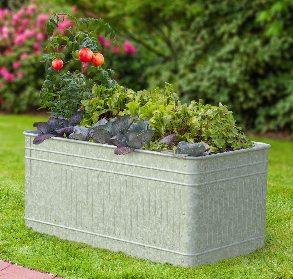 Raised Galvanized Trough Planter