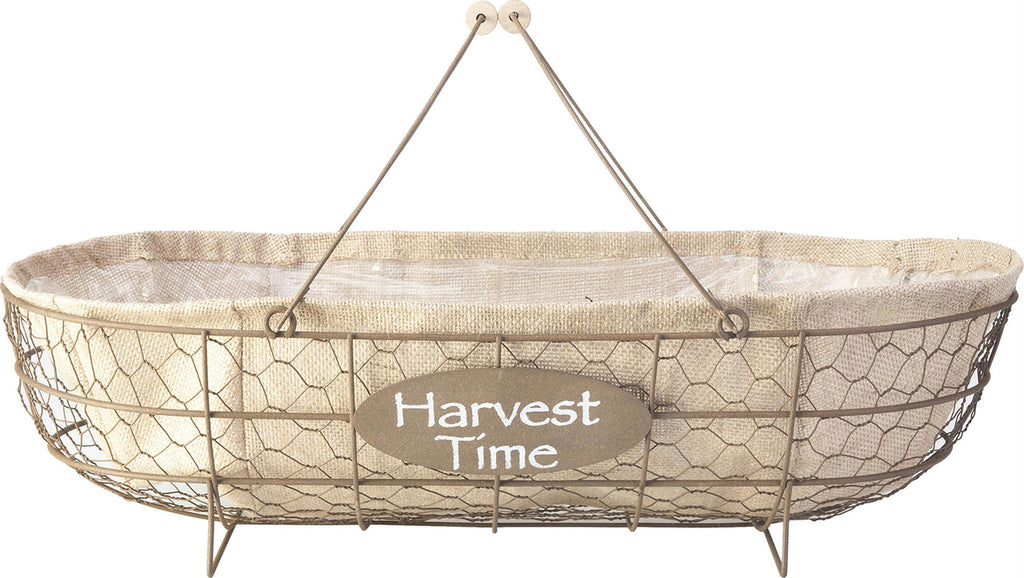 Chicken Wire Basket Planter