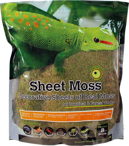 Sheet Moss Decorative