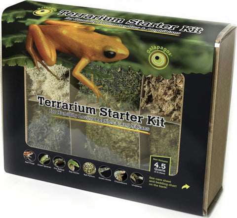 Terrarium Starter Kit Humid Environment