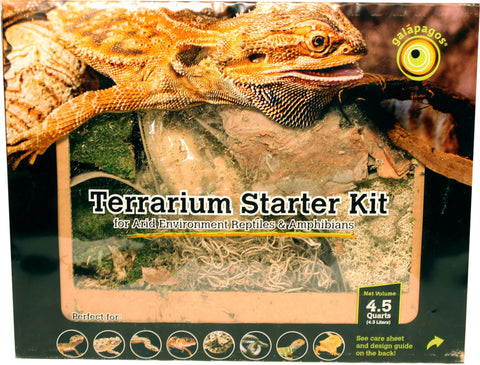 Terrarium Starter Kit Arid Environment