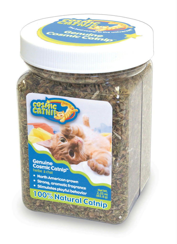 Cosmic Catnip Jar