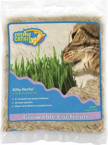 Cosmic Growables Catnip