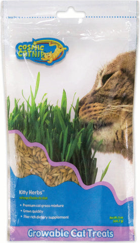 Cosmic Growables Catnip