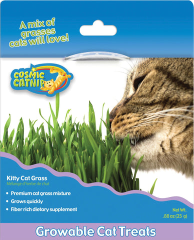 Cosmic Growables Catnip