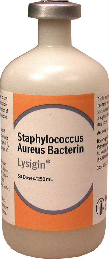 Lysigin Vaccine