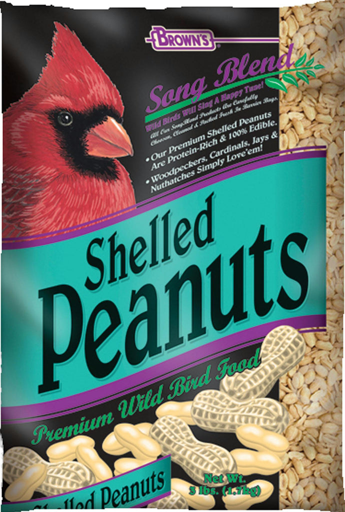 Shelled Peanuts