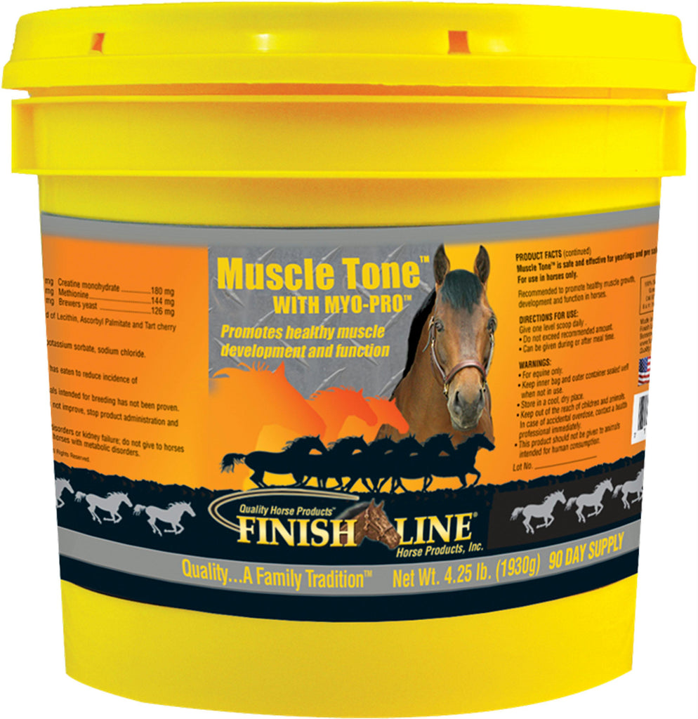 Muscle Tone With Myo-pro Equine Supplement