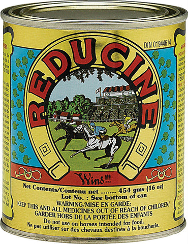 Reducine Absorbent Equine Liniment For Horses