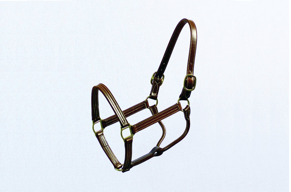 Thoroughbred Halter