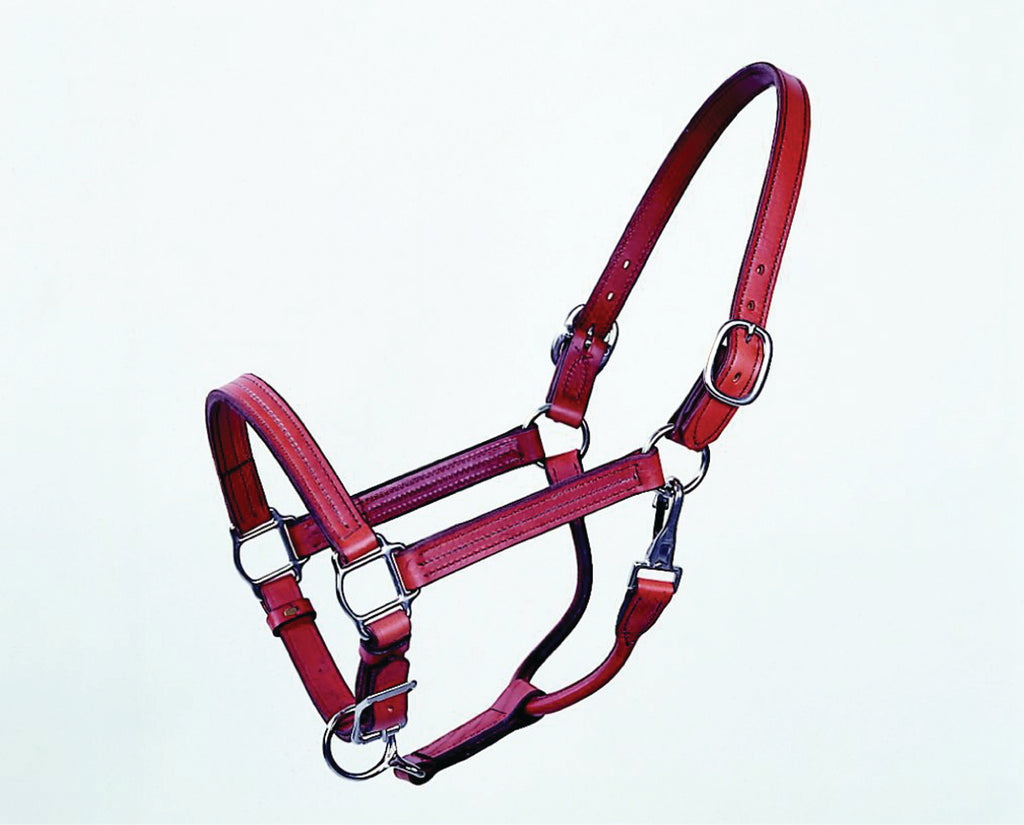 Stallion Halter