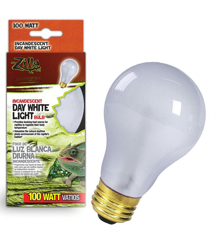 Day White Light Incandescent Bulb