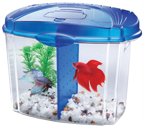 Betta Bowl Kit With Divider