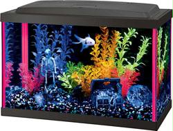 Aqueon Neoglow Aquarium Kit Rectangle