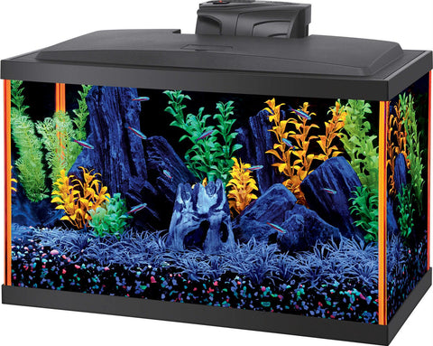 Aqueon Neoglow Aquarium Kit Rectangle