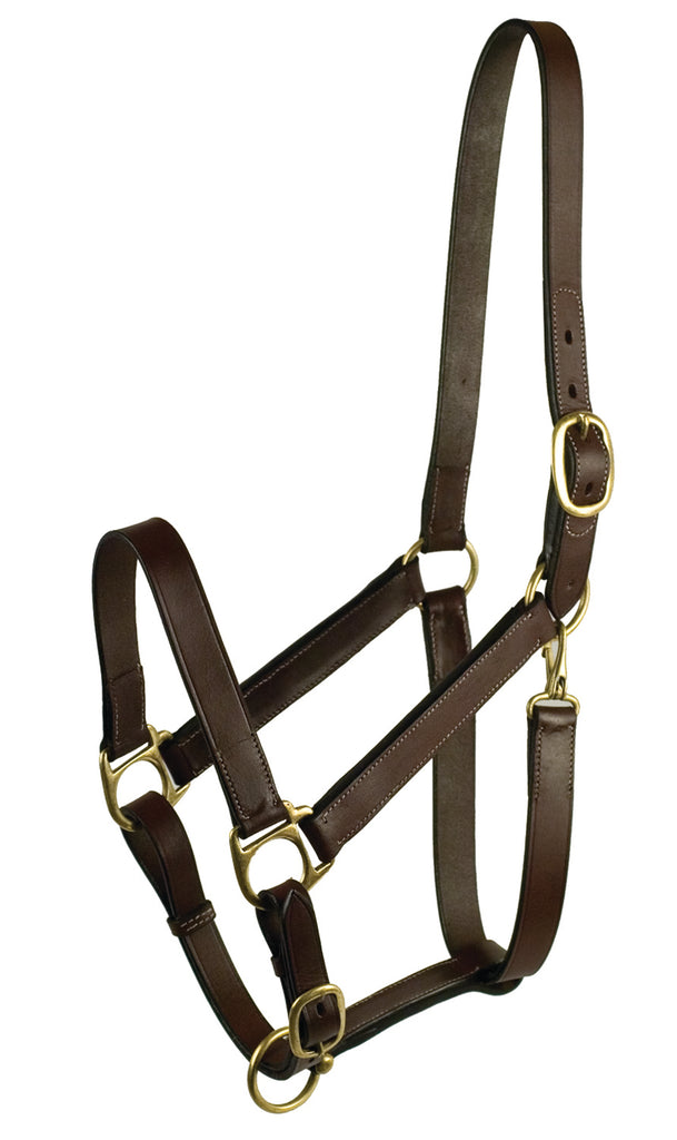 Leather Halter