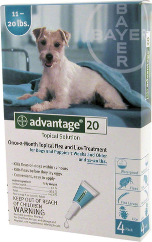 Advantage Ii Dog Teal