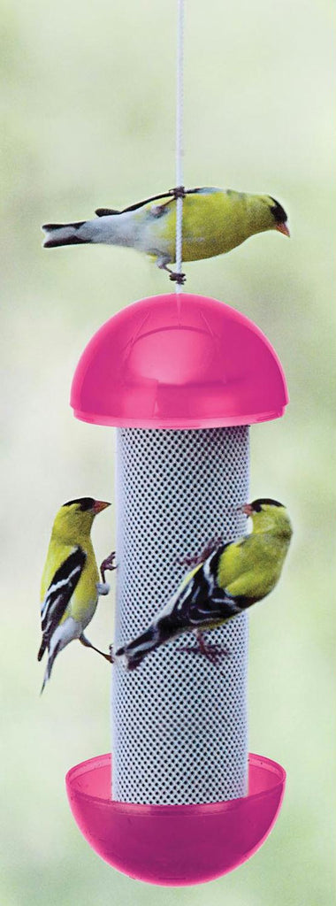 Have-a-ball Finch Feeder