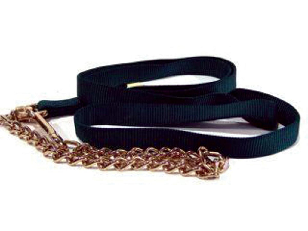 Nylon Lead With Chain & Snap