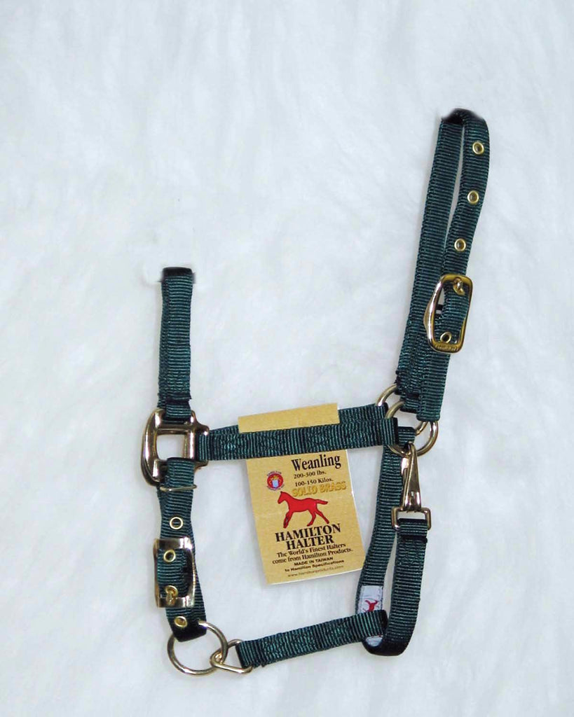 Adjustable Chin Horse Halter With Snap