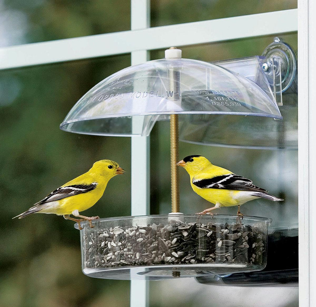 The Winner Multi-purpose Window Feeder