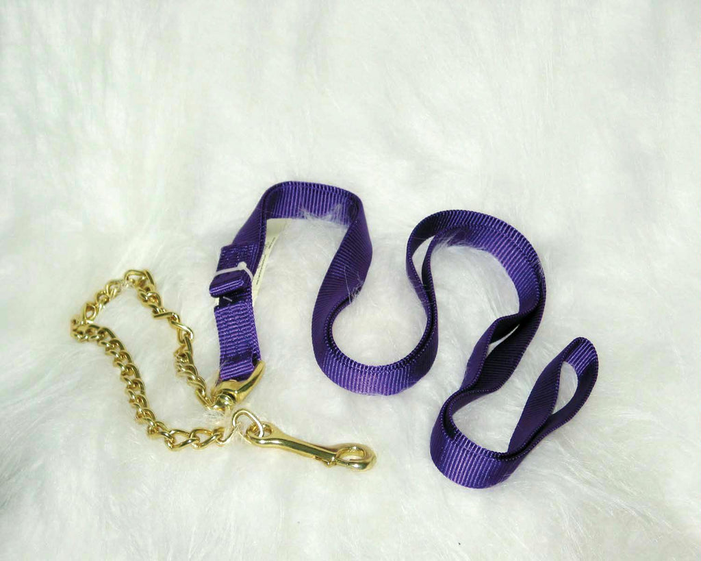 Nylon Lead With Chain & Snap