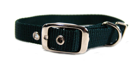 Single Thick Nylon Dog Collar