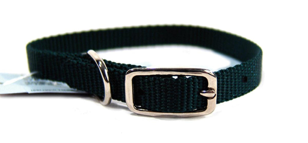 Single Thick Nylon Dog Collar