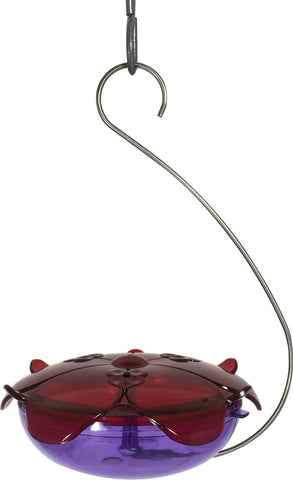 Ruby Sipper Hanging Hummingbird Feeder