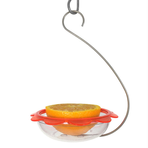 Bos Marmalade Hanging Oriole Feeder