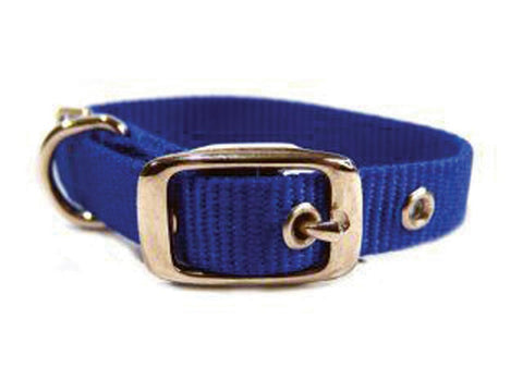 Single Thick Nylon Dog Collar