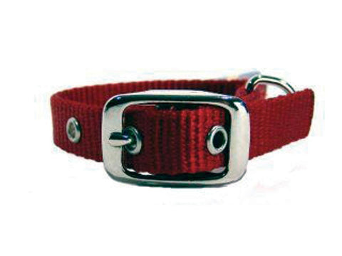 Single Thick Nylon Dog Collar