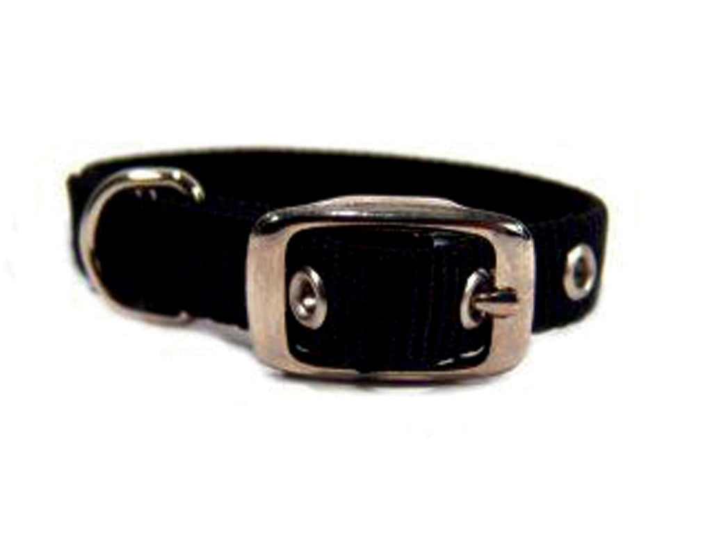 Single Thick Nylon Dog Collar