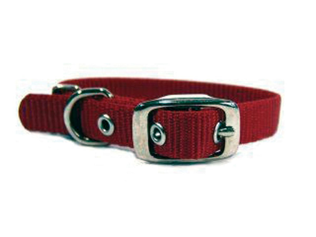 Single Thick Nylon Dog Collar